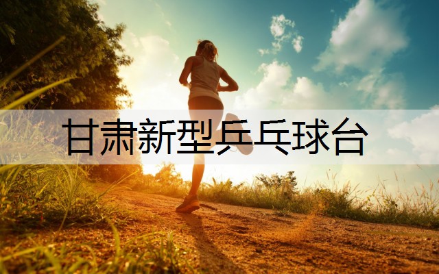 甘肃新型乒乓球台
