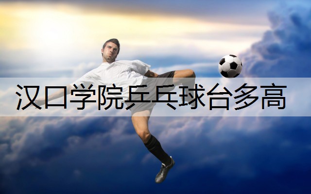 汉口学院乒乓球台多高