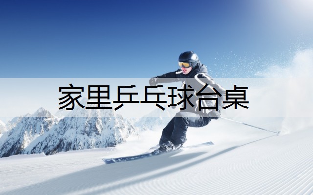 家里乒乓球台桌