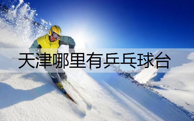 天津哪里有乒乓球台