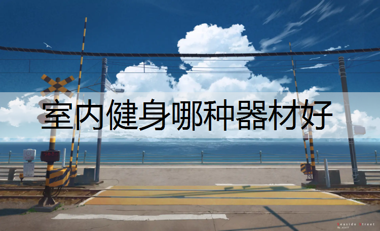 室内健身哪种器材好