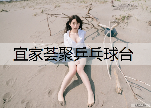 宜家荟聚乒乓球台