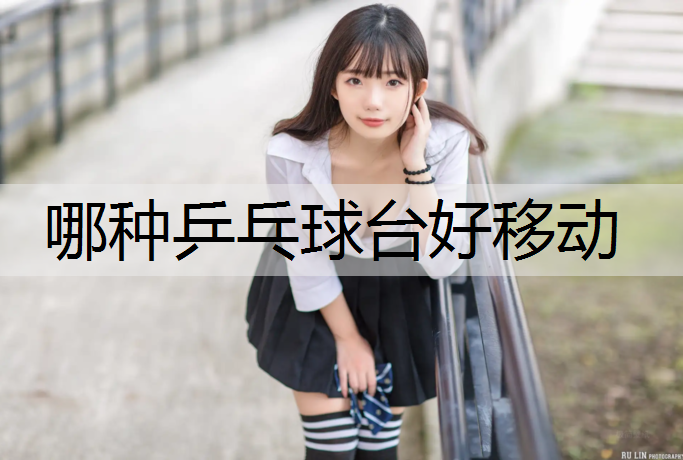 哪种乒乓球台好移动