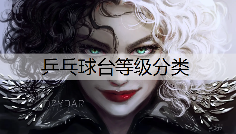 乒乓球台等级分类