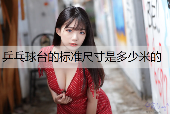 乒乓球台的标准尺寸是多少米的