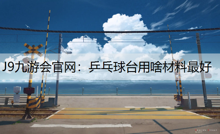 J9九游会官网：乒乓球台用啥材料最好