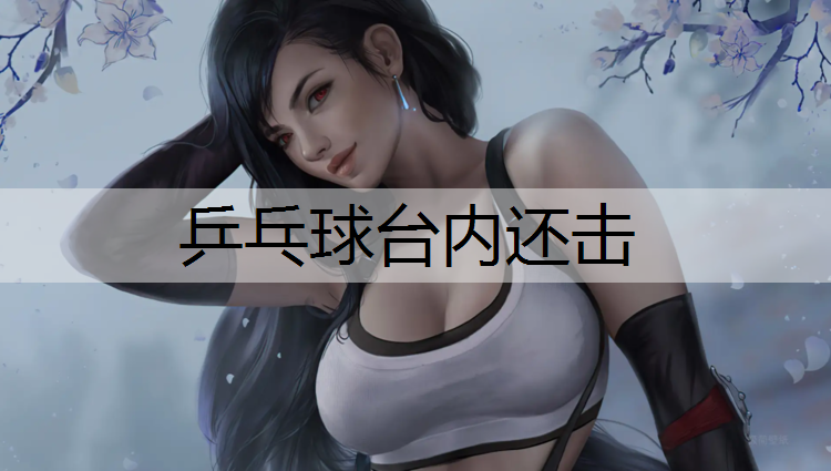 乒乓球台内还击