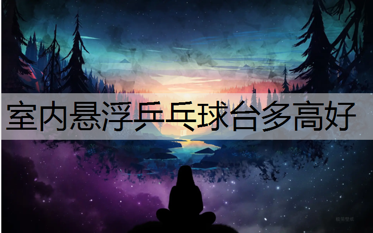 室内悬浮乒乓球台多高好