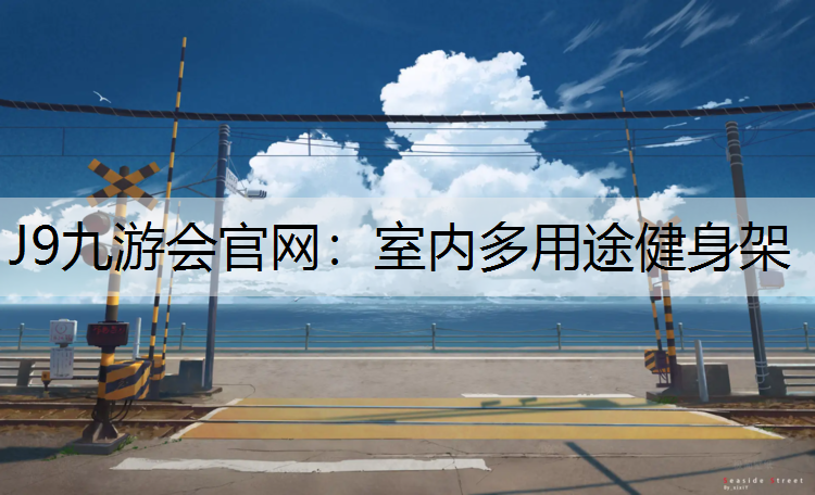 J9九游会官网：室内多用途健身架