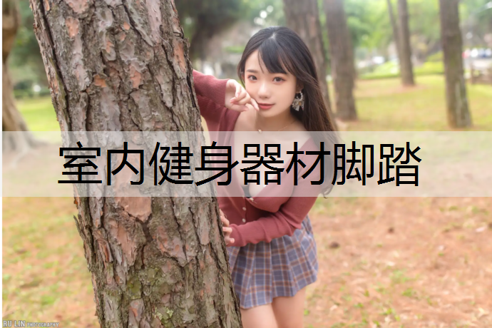 室内健身器材脚踏