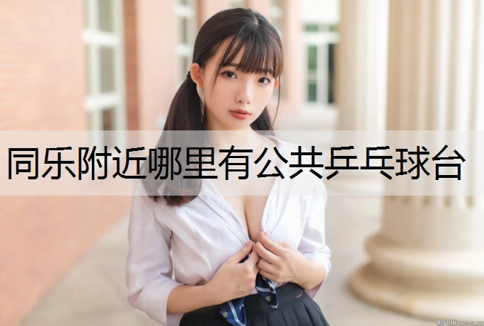 同乐附近哪里有公共乒乓球台