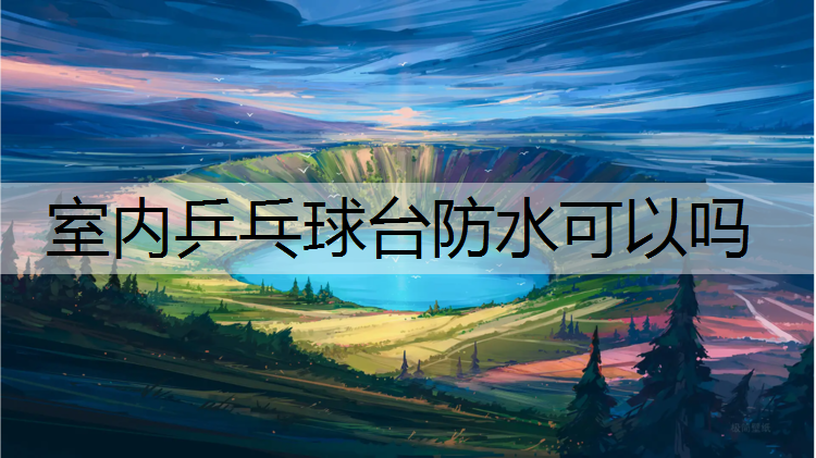 室内乒乓球台防水可以吗