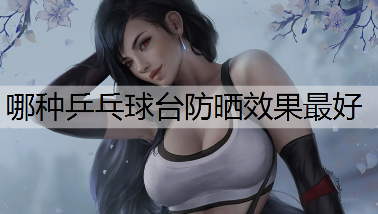 哪种乒乓球台防晒效果最好