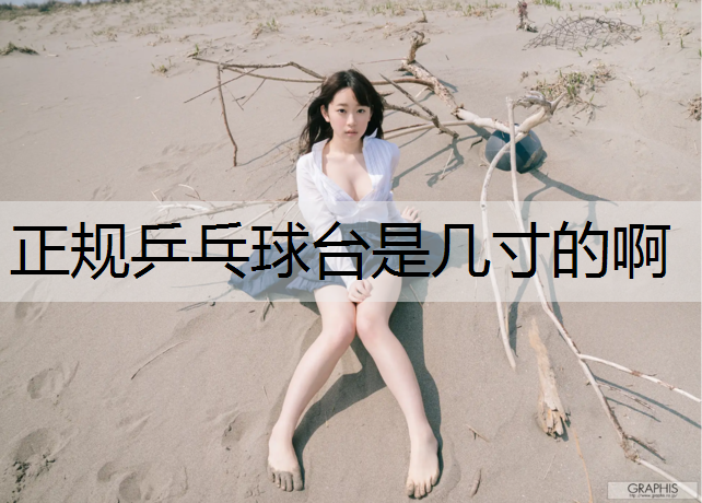 正规乒乓球台是几寸的啊