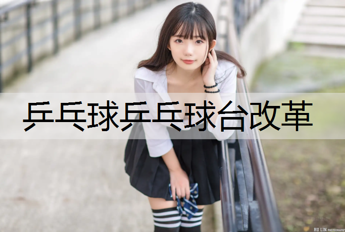 乒乓球乒乓球台改革