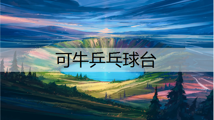可牛乒乓球台