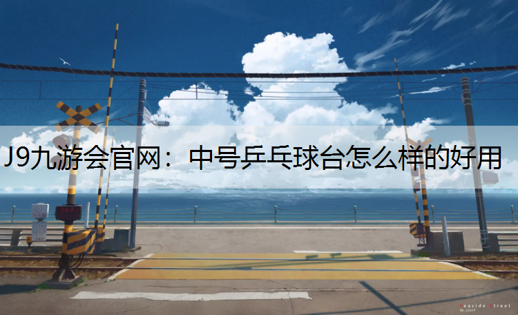 J9九游会官网：中号乒乓球台怎么样的好用