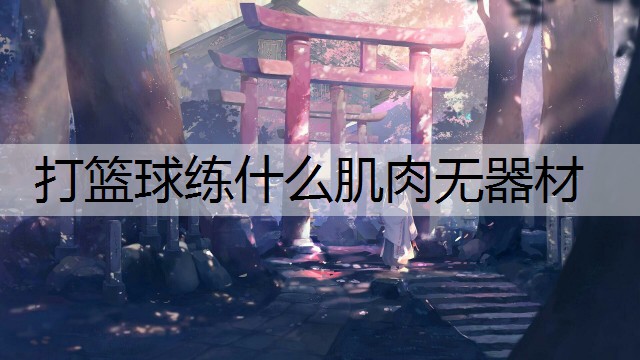 打篮球练什么肌肉无器材