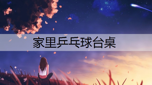 家里乒乓球台桌