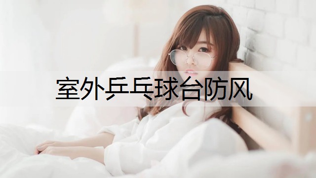 室外乒乓球台防风