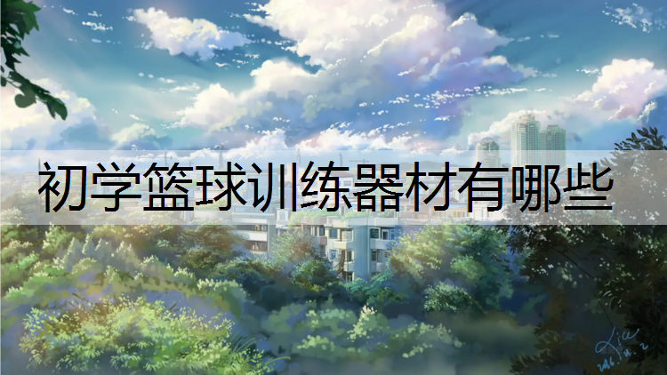 初学篮球训练器材有哪些
