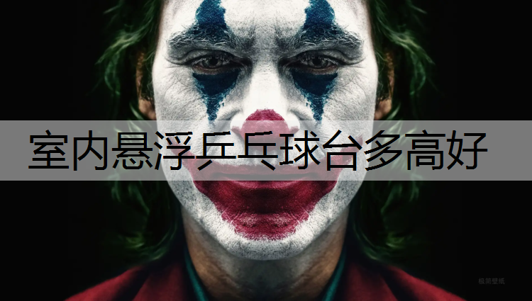 室内悬浮乒乓球台多高好