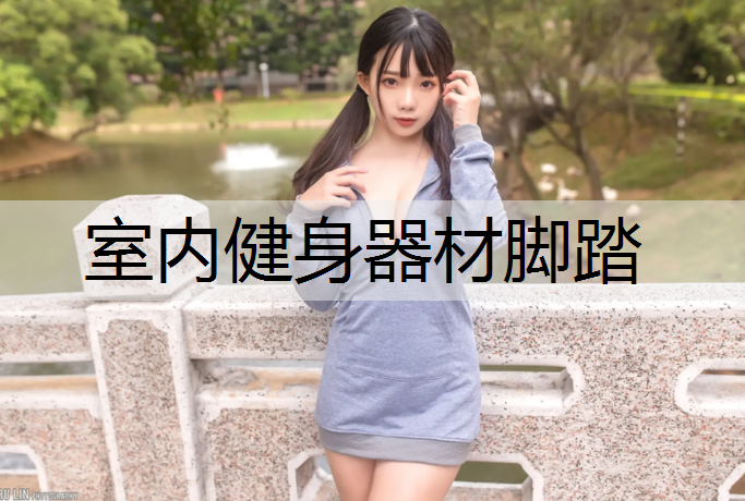 室内健身器材脚踏
