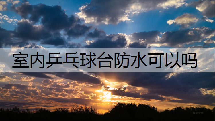 室内乒乓球台防水可以吗
