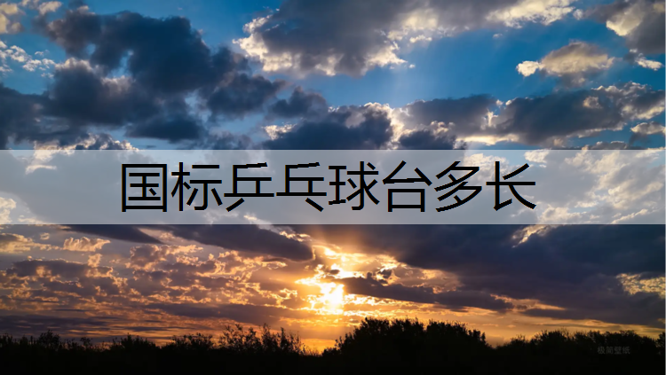 国标乒乓球台多长