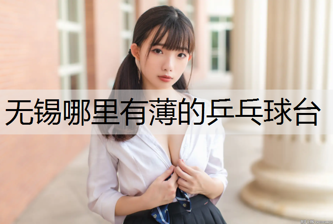 无锡哪里有薄的乒乓球台