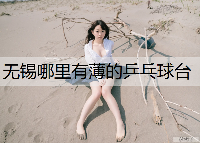 无锡哪里有薄的乒乓球台